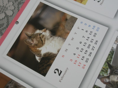 猫めくり20133.jpg